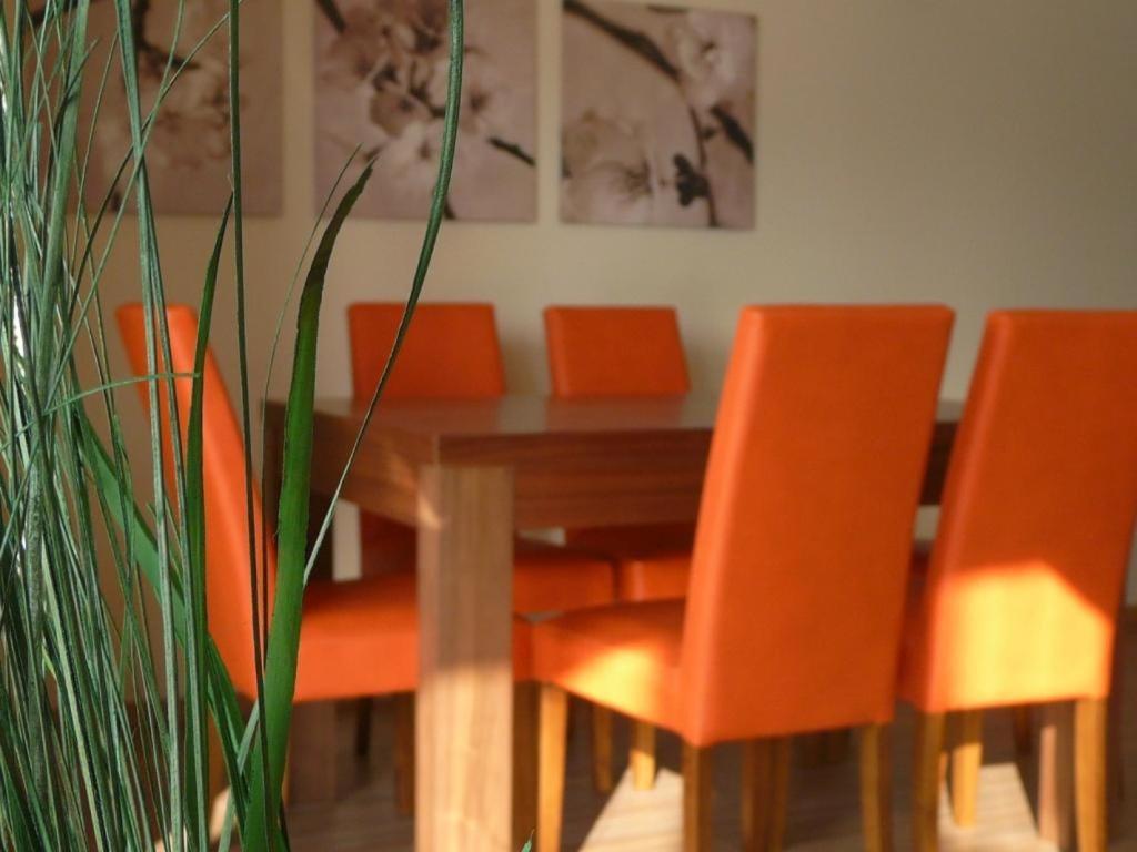 Apartamenty Wislany Brzeg Устронь Экстерьер фото